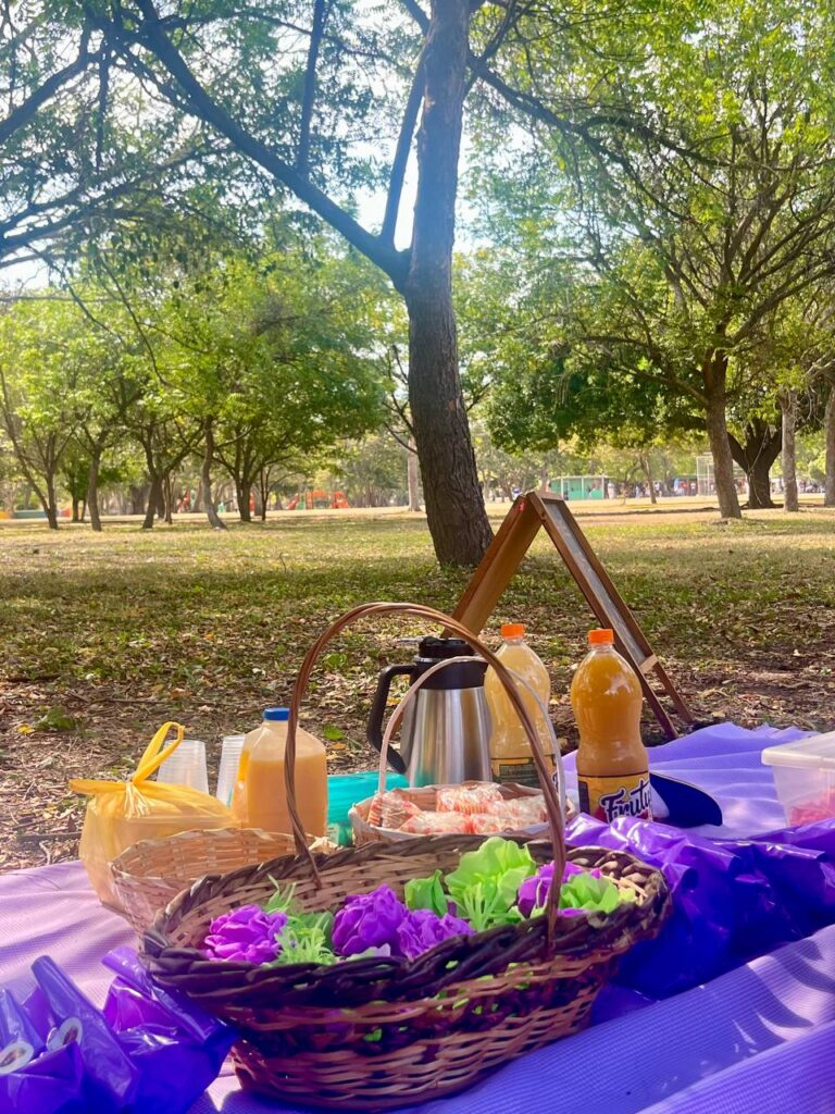 Todo listo para el picnic